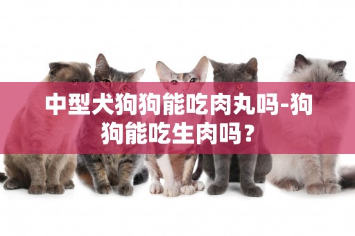 中型犬狗狗能吃肉丸嗎-狗狗能吃生肉嗎？