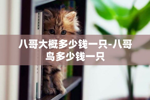 八哥大概多少錢一只-八哥鳥多少錢一只