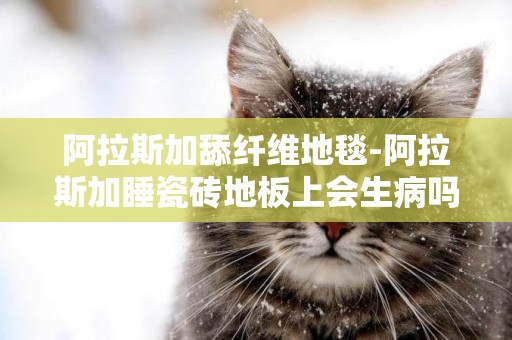 阿拉斯加舔纖維地毯-阿拉斯加睡瓷磚地板上會生病嗎