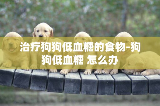 治療狗狗低血糖的食物-狗狗低血糖 怎么辦