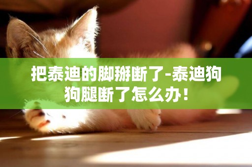 把泰迪的腳掰斷了-泰迪狗狗腿斷了怎么辦！
