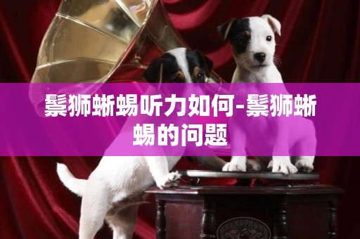 鬃獅蜥蜴聽力如何-鬃獅蜥蜴的問題