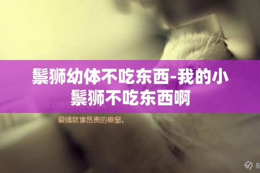 鬃獅幼體不吃東西-我的小鬃獅不吃東西啊