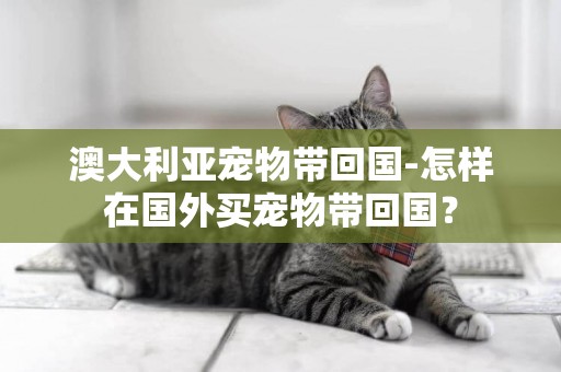 澳大利亞寵物帶回國-怎樣在國外買寵物帶回國？