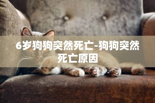 6歲狗狗突然死亡-狗狗突然死亡原因