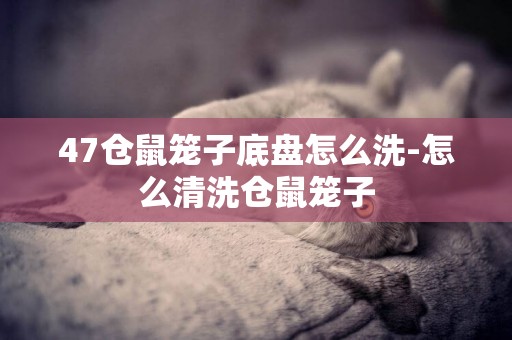 47倉鼠籠子底盤怎么洗-怎么清洗倉鼠籠子