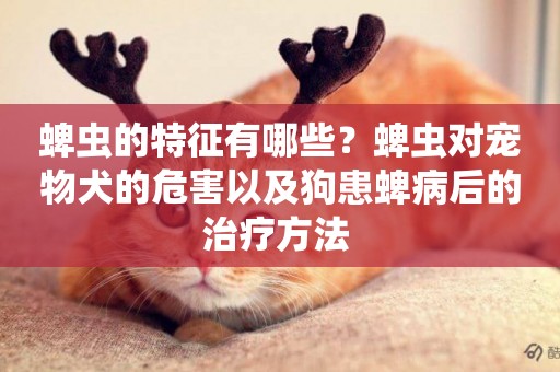 蜱蟲的特征有哪些？蜱蟲對寵物犬的危害以及狗患蜱病后的治療方法 