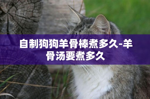 自制狗狗羊骨棒煮多久-羊骨湯要煮多久