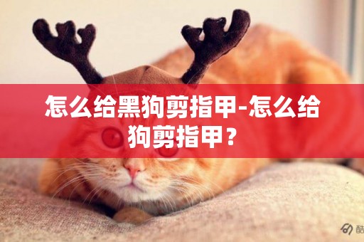 怎么給黑狗剪指甲-怎么給狗剪指甲？