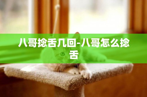 八哥捻舌幾回-八哥怎么捻舌