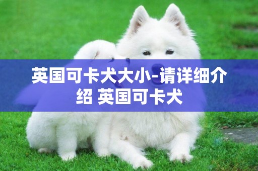 英國可卡犬大小-請詳細介紹 英國可卡犬