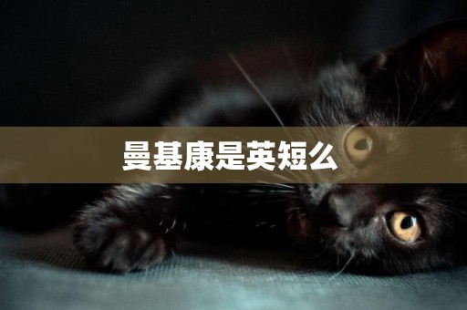 曼基康是英短么 