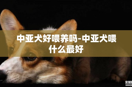 中亞犬好喂養嗎-中亞犬喂什么最好