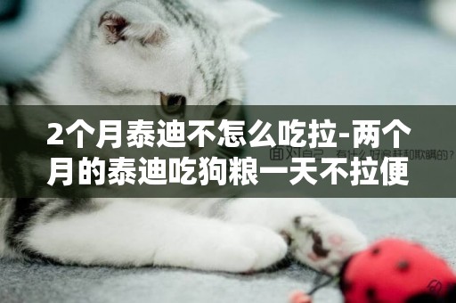 2個月泰迪不怎么吃拉-兩個月的泰迪吃狗糧一天不拉便便是怎么了