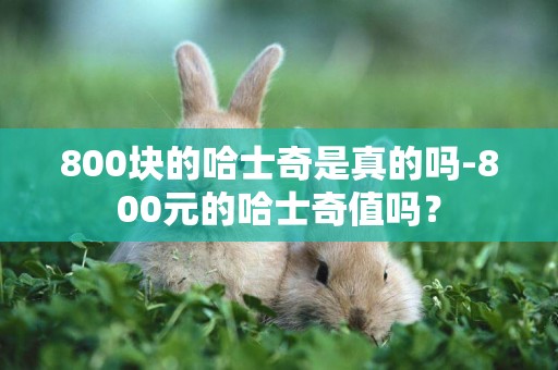 800塊的哈士奇是真的嗎-800元的哈士奇值嗎？