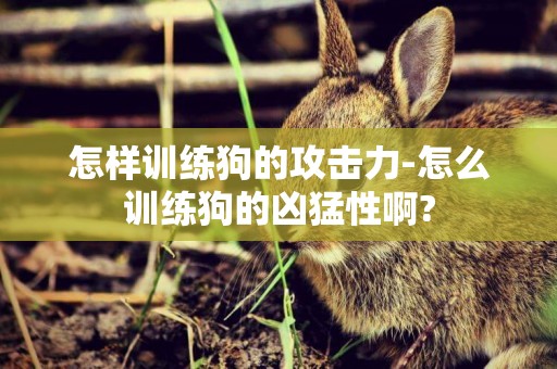 怎樣訓練狗的攻擊力-怎么訓練狗的兇猛性啊?
