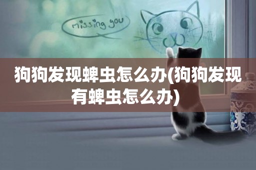 狗狗發現蜱蟲怎么辦(狗狗發現有蜱蟲怎么辦) 