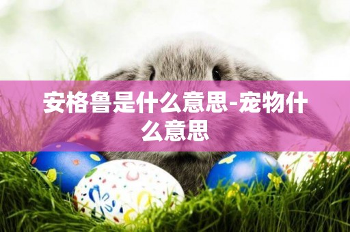 安格魯是什么意思-寵物什么意思