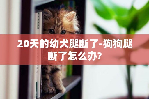 20天的幼犬腿斷了-狗狗腿斷了怎么辦?
