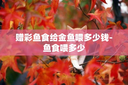 贈彩魚食給金魚喂多少錢-魚食喂多少