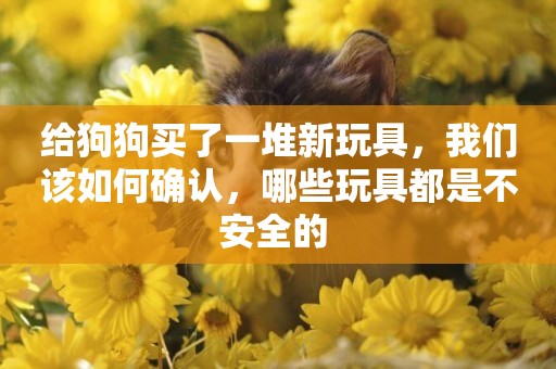 給狗狗買了一堆新玩具，我們該如何確認，哪些玩具都是不安全的 