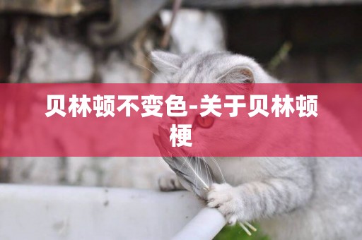 貝林頓不變色-關于貝林頓梗