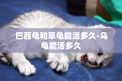 巴西龜和草龜能活多久-烏龜能活多久