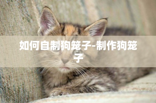 如何自制狗籠子-制作狗籠子