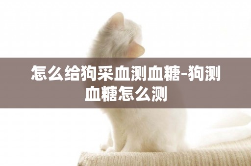 怎么給狗采血測血糖-狗測血糖怎么測
