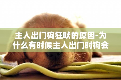 主人出門狗狂吠的原因-為什么有時候主人出門時狗會發狂的叫？