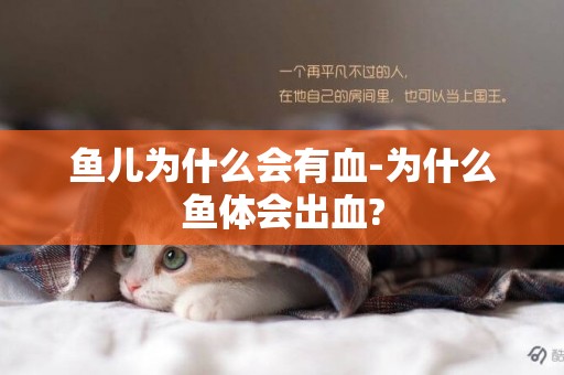 魚兒為什么會有血-為什么魚體會出血?