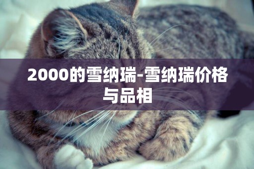 2000的雪納瑞-雪納瑞價格與品相