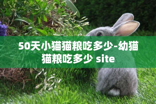 50天小貓貓糧吃多少-幼貓貓糧吃多少 site