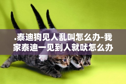 .泰迪狗見人亂叫怎么辦-我家泰迪一見到人就吠怎么辦