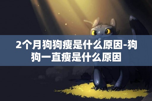 2個月狗狗瘦是什么原因-狗狗一直瘦是什么原因