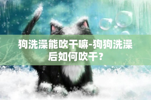 狗洗澡能吹干嘛-狗狗洗澡后如何吹干？
