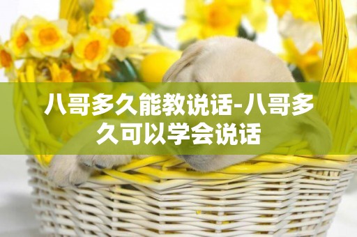 八哥多久能教說話-八哥多久可以學會說話