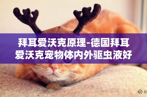 拜耳愛沃克原理-德國拜耳愛沃克寵物體內外驅蟲液好用嗎?
