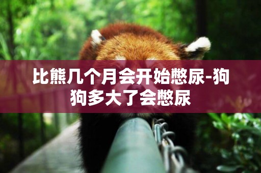 比熊幾個月會開始憋尿-狗狗多大了會憋尿