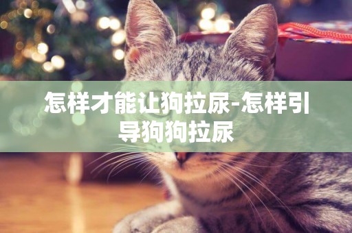 怎樣才能讓狗拉尿-怎樣引導狗狗拉尿