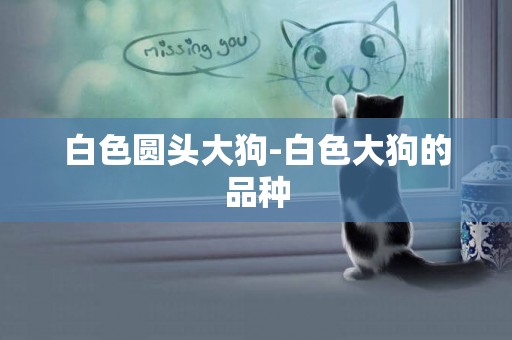 白色圓頭大狗-白色大狗的品種