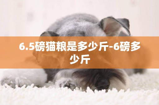 6.5磅貓糧是多少斤-6磅多少斤