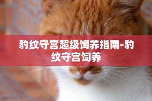 豹紋守宮超級飼養指南-豹紋守宮飼養