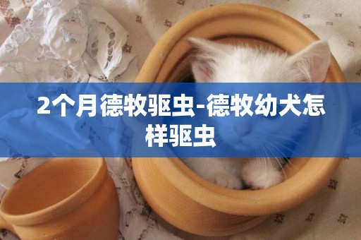 2個月德牧驅蟲-德牧幼犬怎樣驅蟲