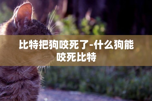 比特把狗咬死了-什么狗能咬死比特