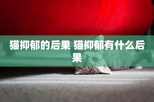 貓抑郁的后果 貓抑郁有什么后果