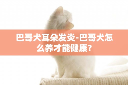 巴哥犬耳朵發炎-巴哥犬怎么養才能健康？