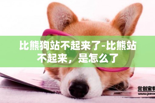 比熊狗站不起來了-比熊站不起來，是怎么了