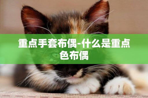 重點手套布偶-什么是重點色布偶