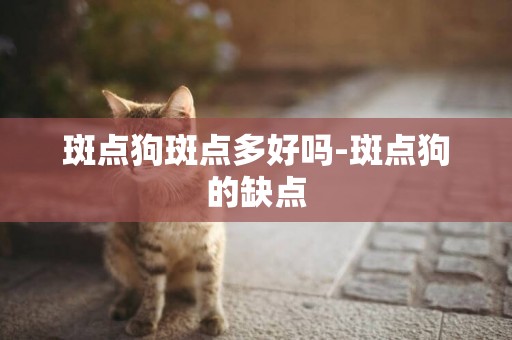 斑點狗斑點多好嗎-斑點狗的缺點